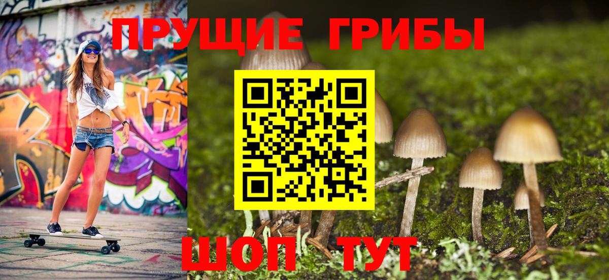Псилоцибиновые грибы прущие грибы  Галлюциногенные грибы мицелий  Лыткарино  Вход с VPN 